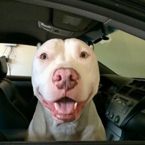 Meet your Posher, Elle